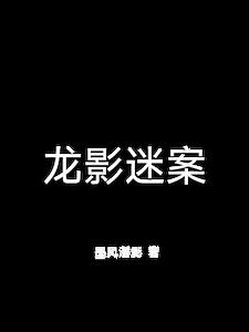 龙影迷案